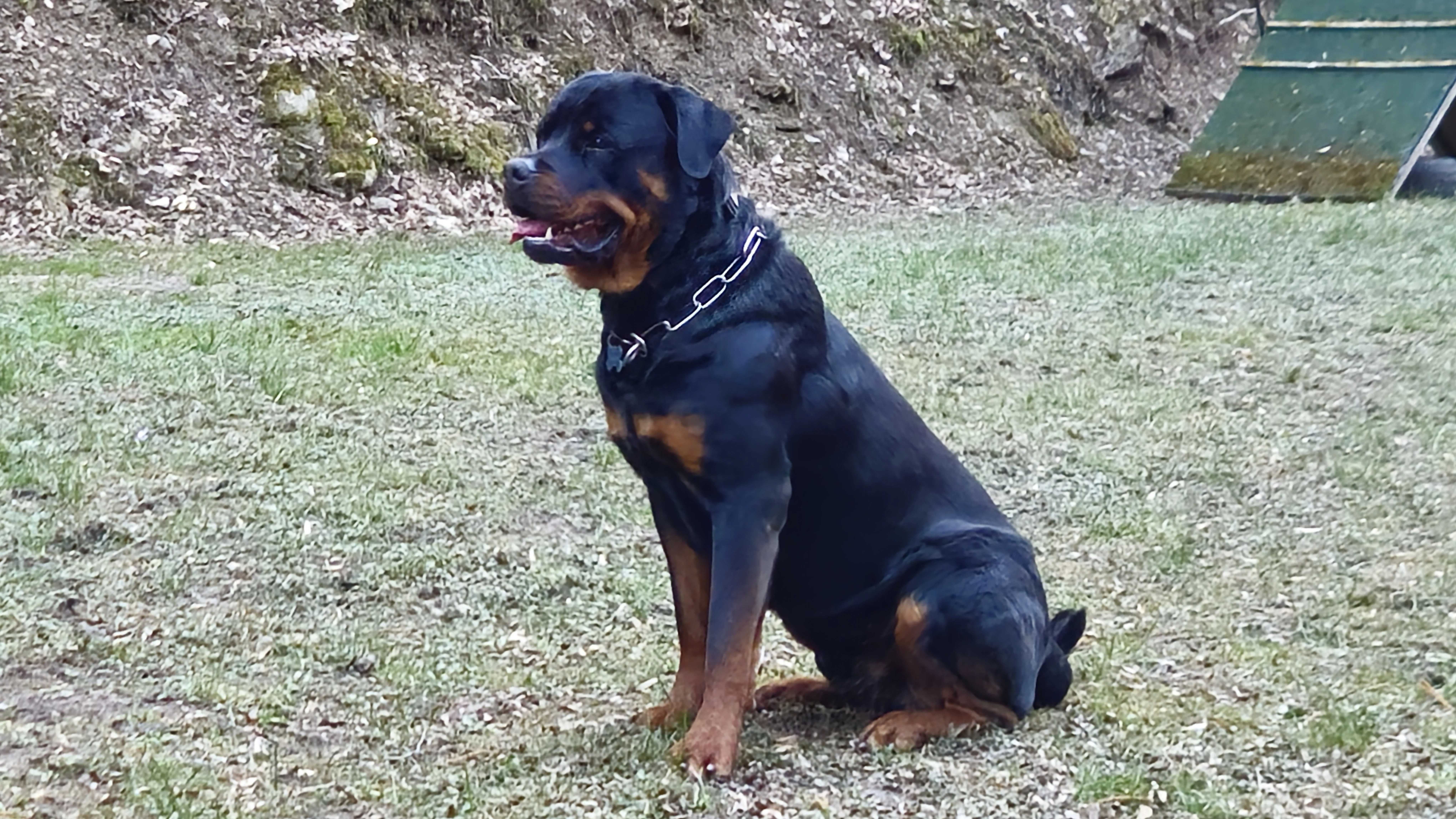 Boss von der Wuthaburg